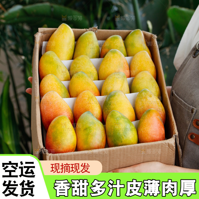手里拿着贵妃芒