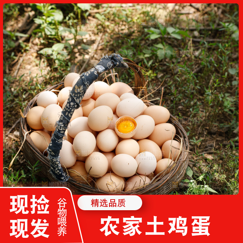 地上放着新鲜土鸡蛋
