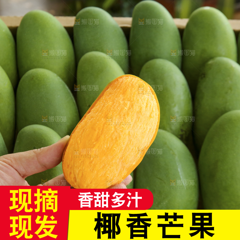 深底上的椰香芒