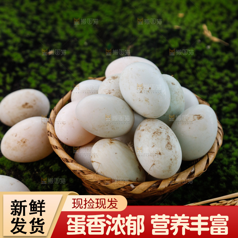 深底上的鸭蛋