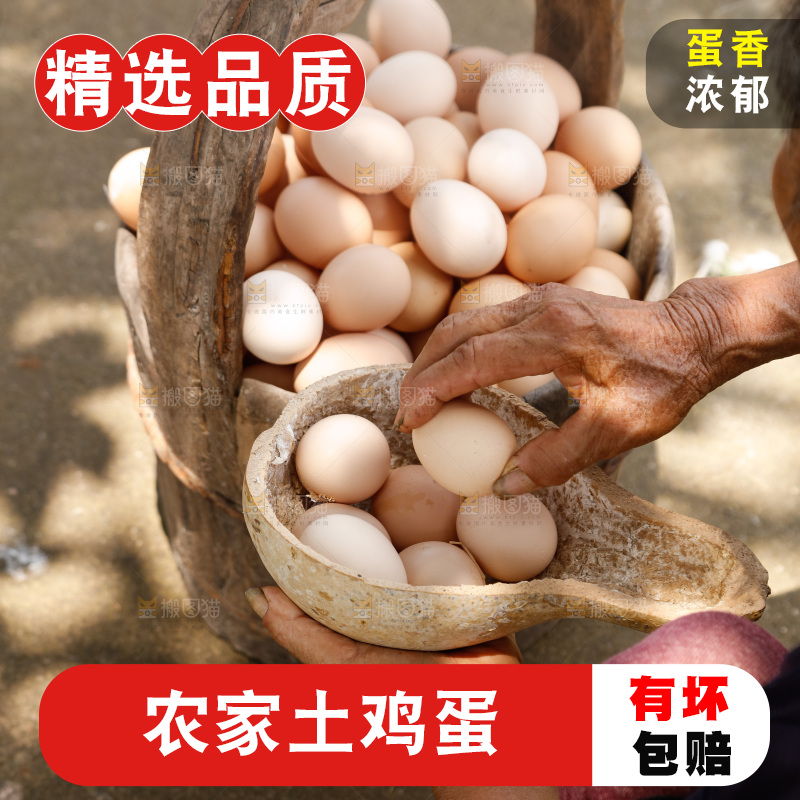 地上放着新鲜土鸡蛋