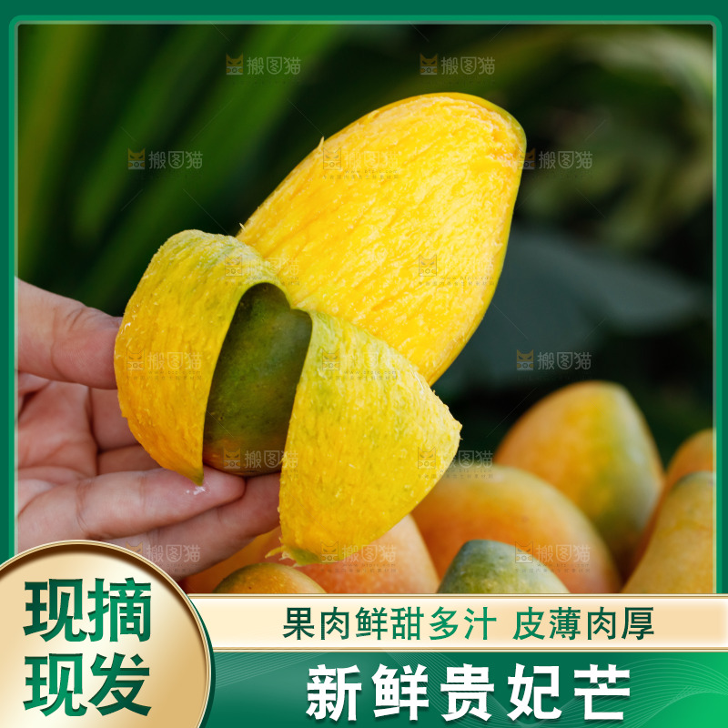 手里拿着贵妃芒