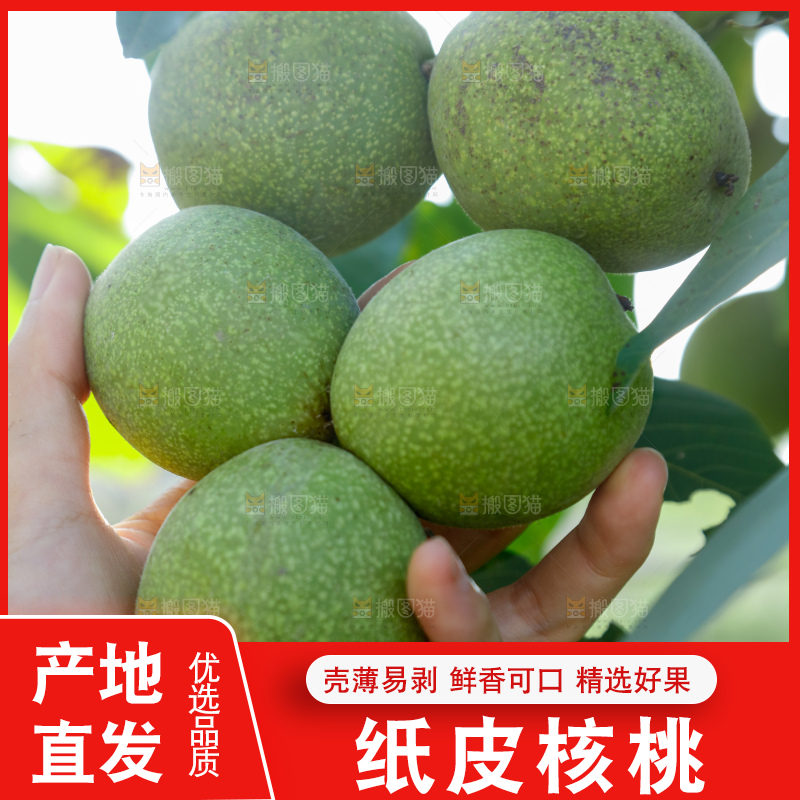 手里拿着青核桃