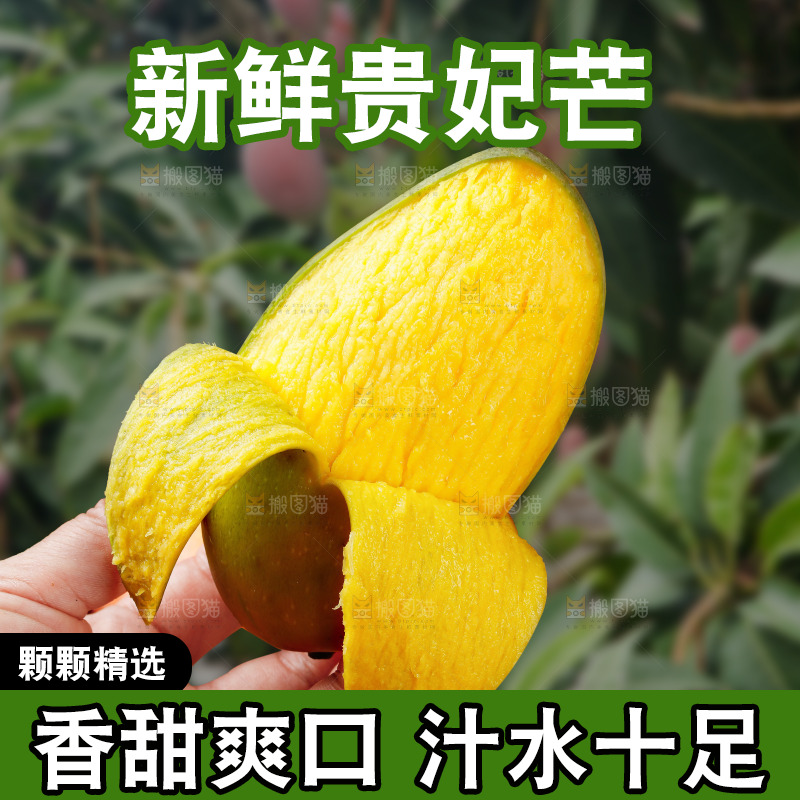 深底上的贵妃芒