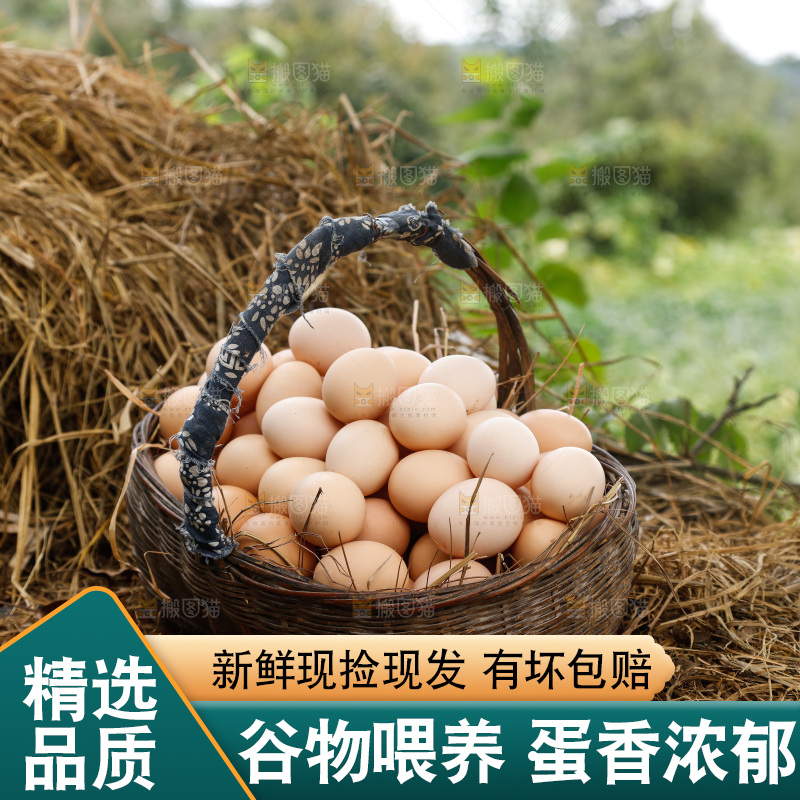 地上放着新鲜土鸡蛋