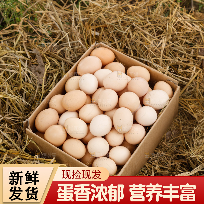 地上放着新鲜土鸡蛋