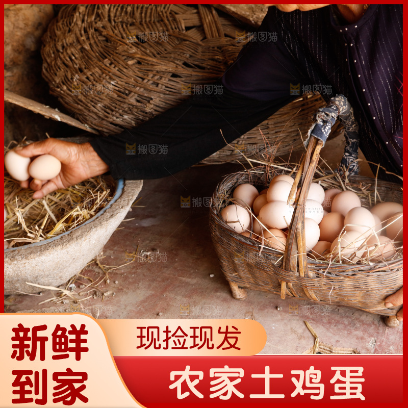 地上放着新鲜土鸡蛋