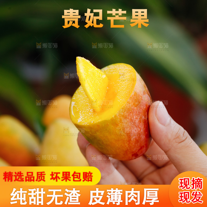 手里拿着贵妃芒