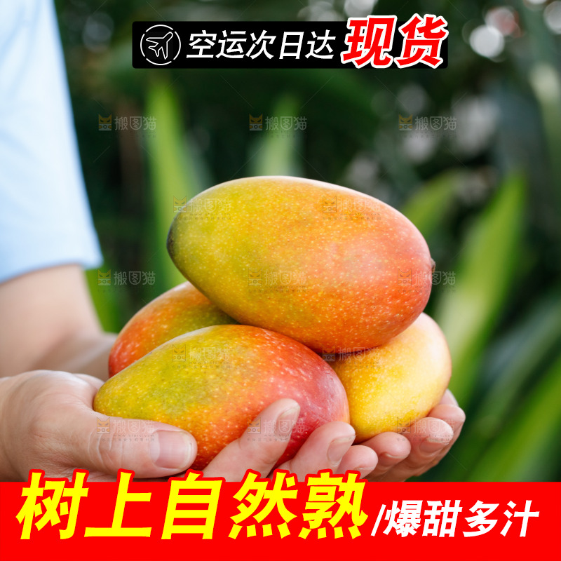 手里拿着贵妃芒