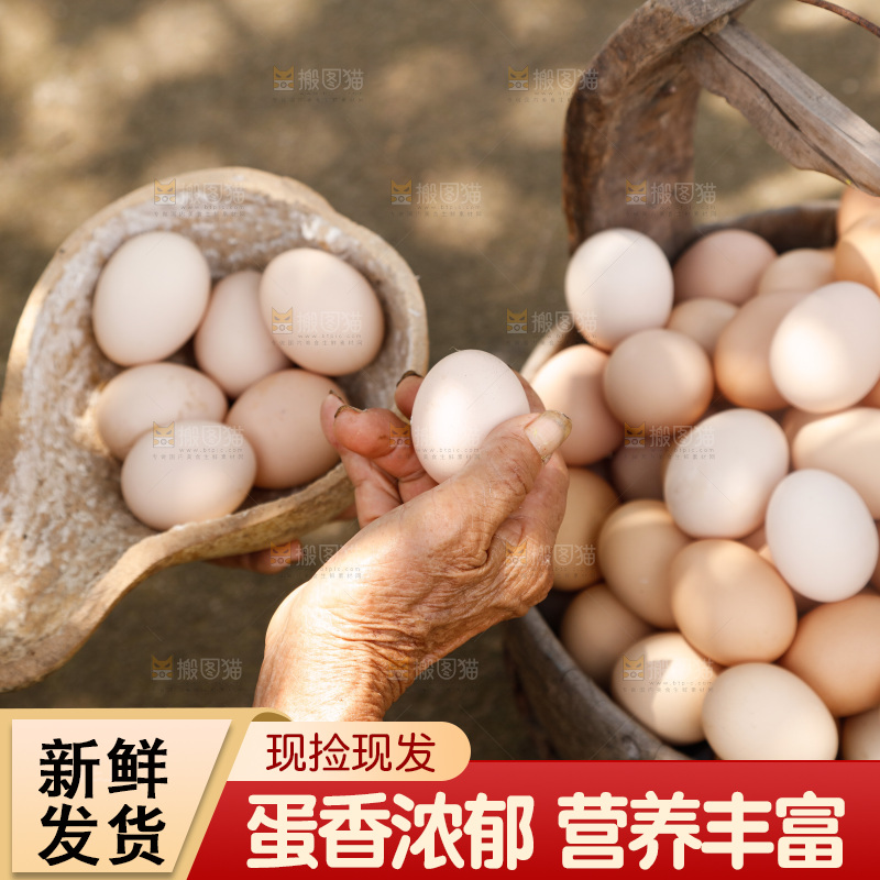 地上放着新鲜土鸡蛋