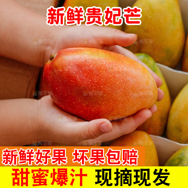手里拿着贵妃芒