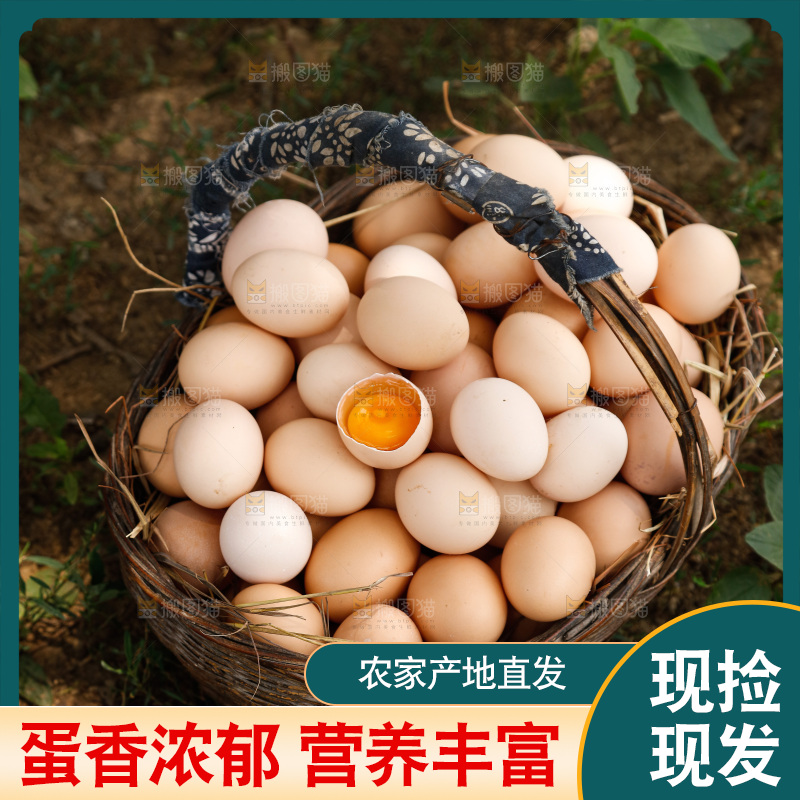 地上放着新鲜土鸡蛋