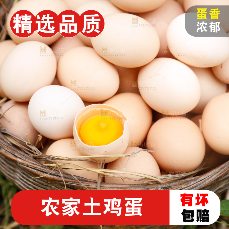 地上放着新鲜土鸡蛋