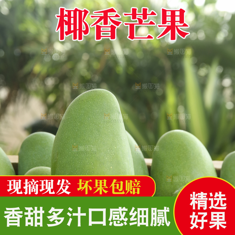 深底上的椰香芒