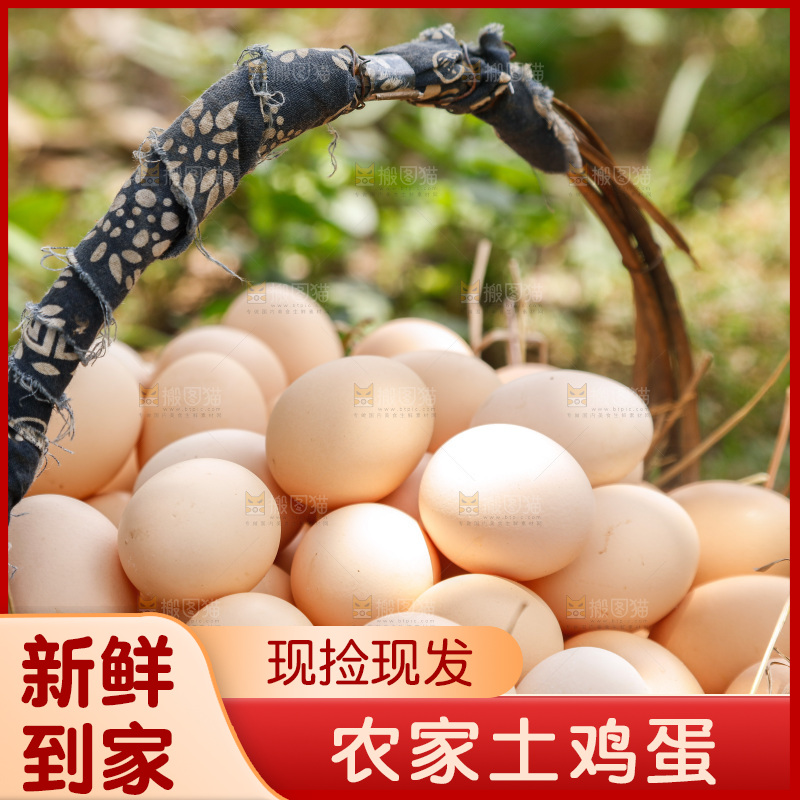 地上放着新鲜土鸡蛋