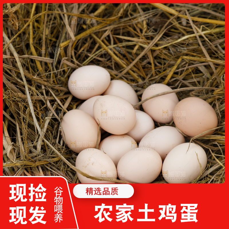 地上放着新鲜土鸡蛋