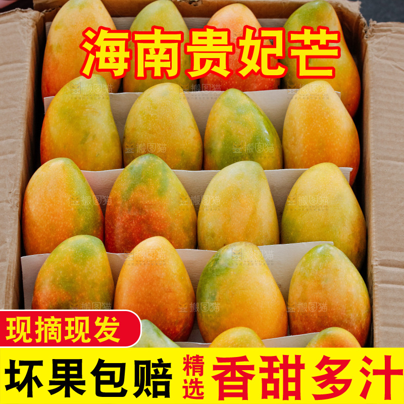 深底上的贵妃芒