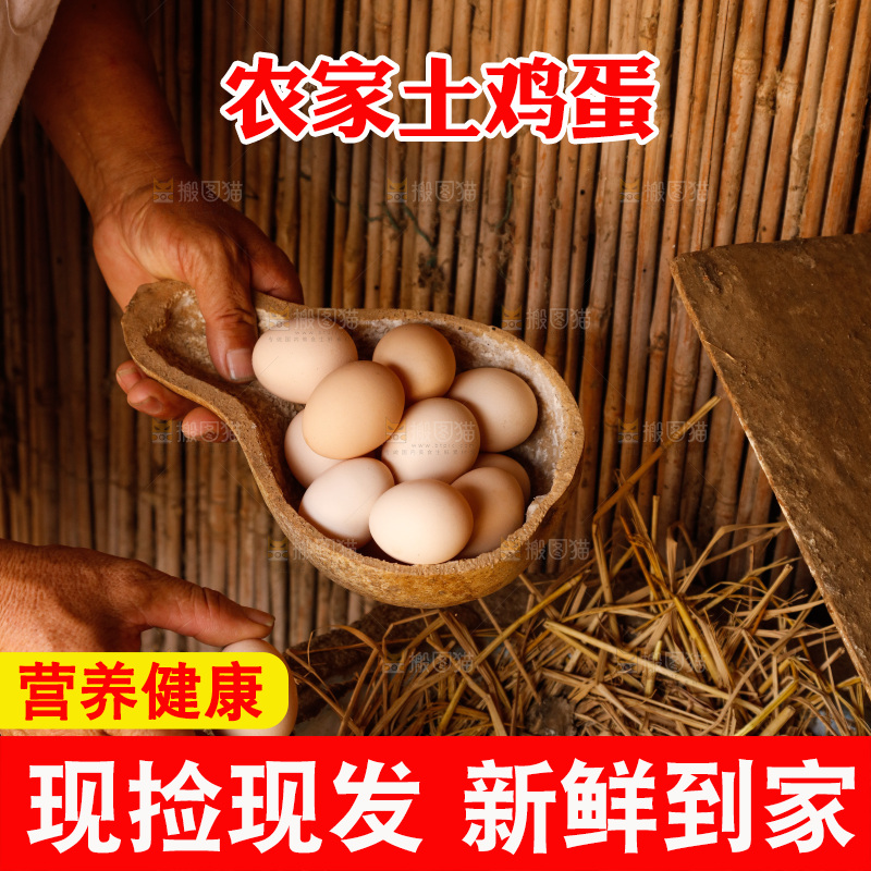地上放着新鲜土鸡蛋