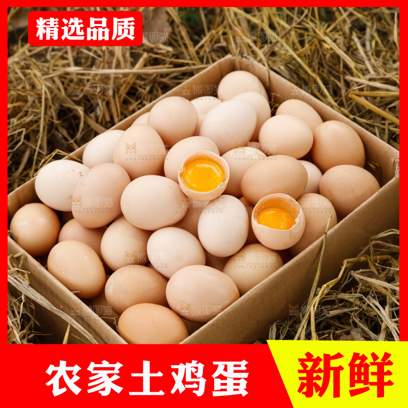 地上放着新鲜土鸡蛋