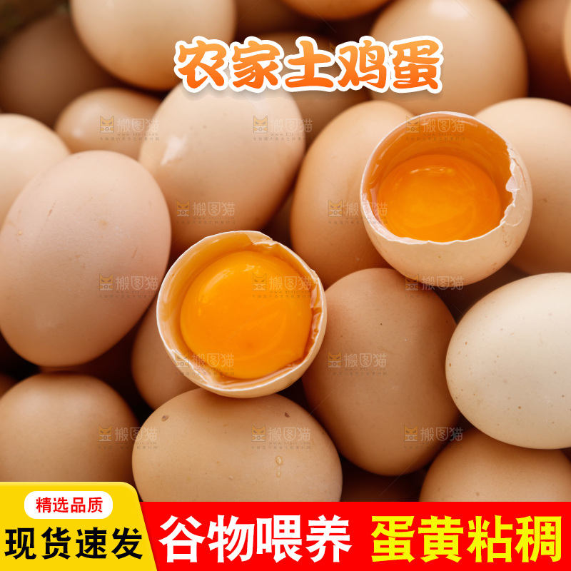 地上放着新鲜土鸡蛋