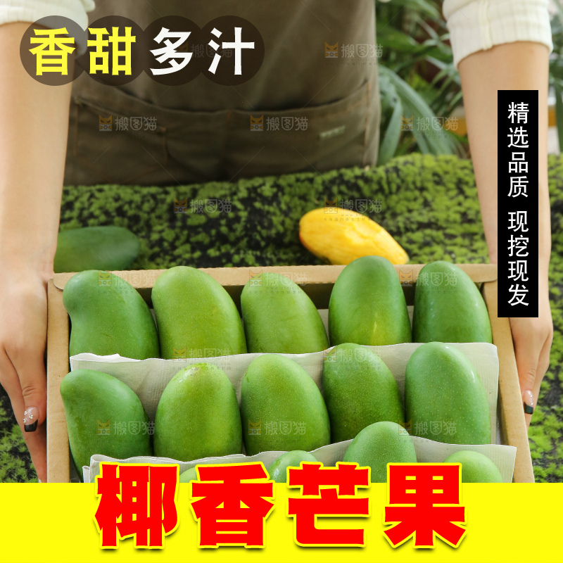 手里拿着椰香芒