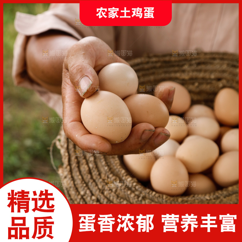 手里拿着土鸡蛋