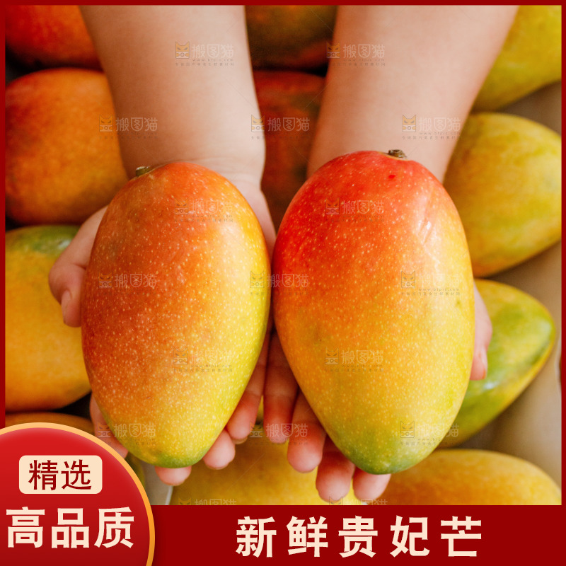 手里拿着贵妃芒