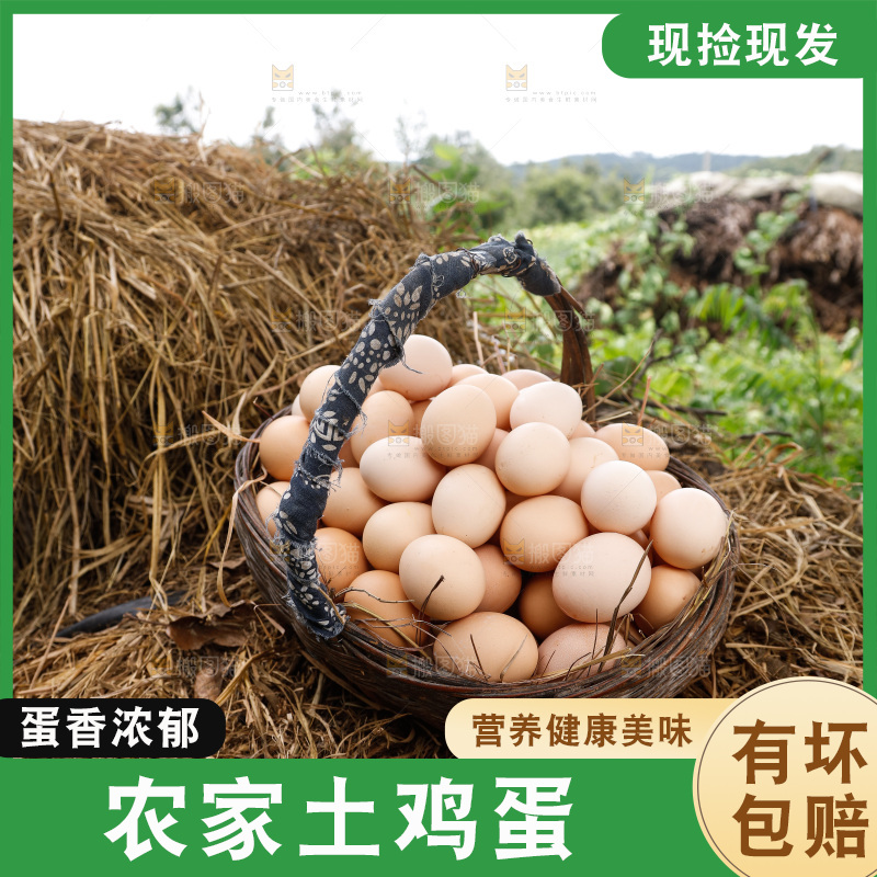 地上放着新鲜土鸡蛋