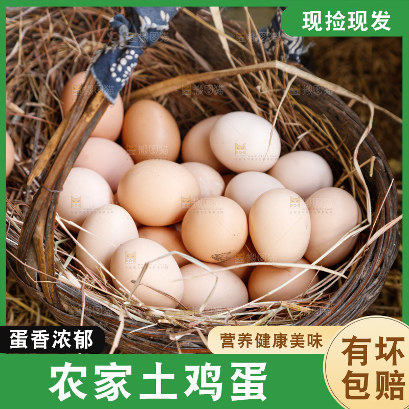 地上放着新鲜土鸡蛋