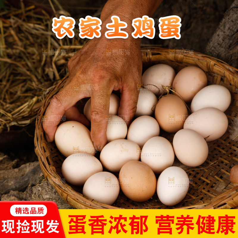 地上放着新鲜土鸡蛋