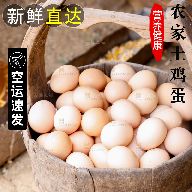地上放着新鲜土鸡蛋