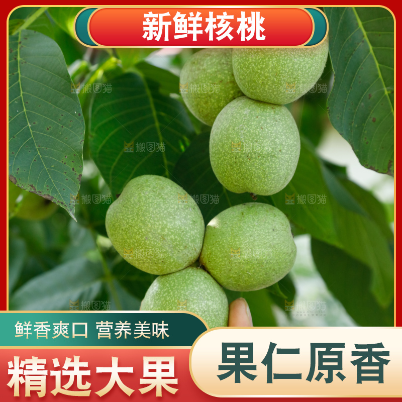 手里拿着青核桃