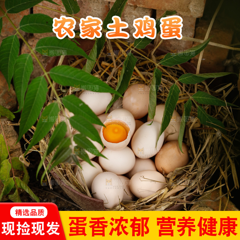 地上放着新鲜土鸡蛋
