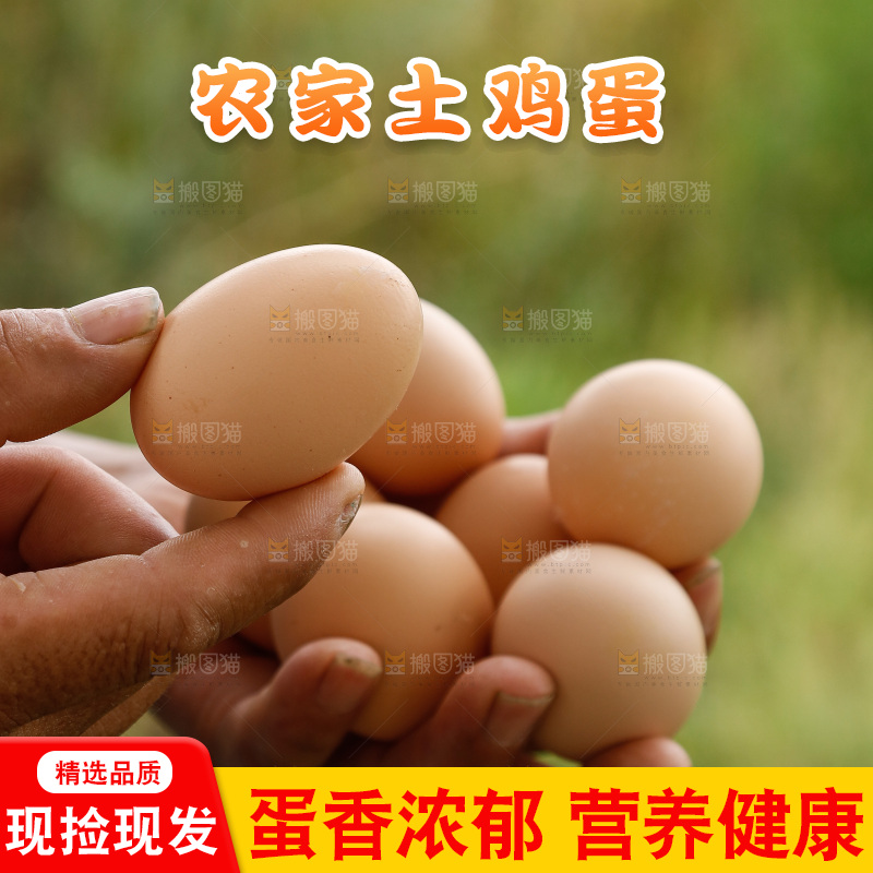 手里拿着土鸡蛋