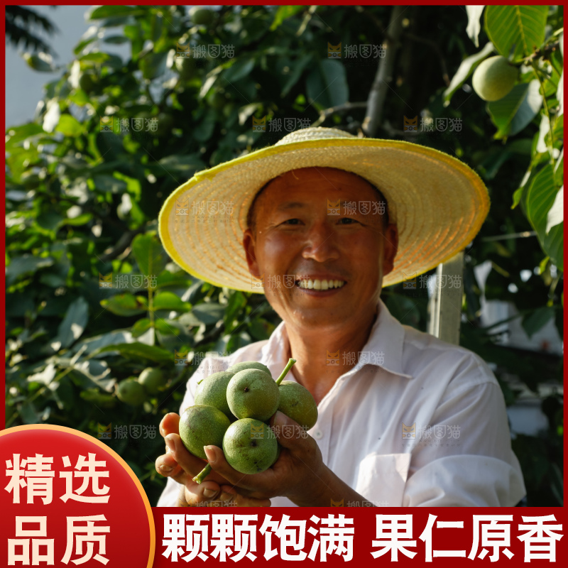 手里拿着青核桃
