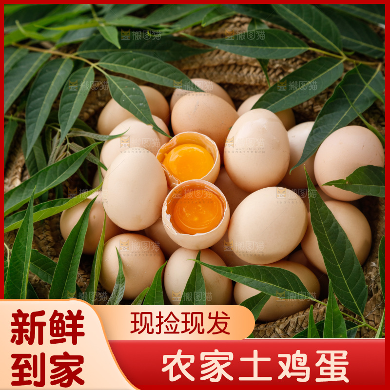 地上放着新鲜土鸡蛋