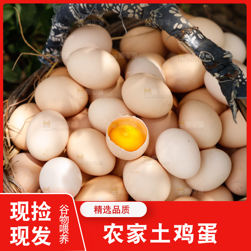 地上放着新鲜土鸡蛋