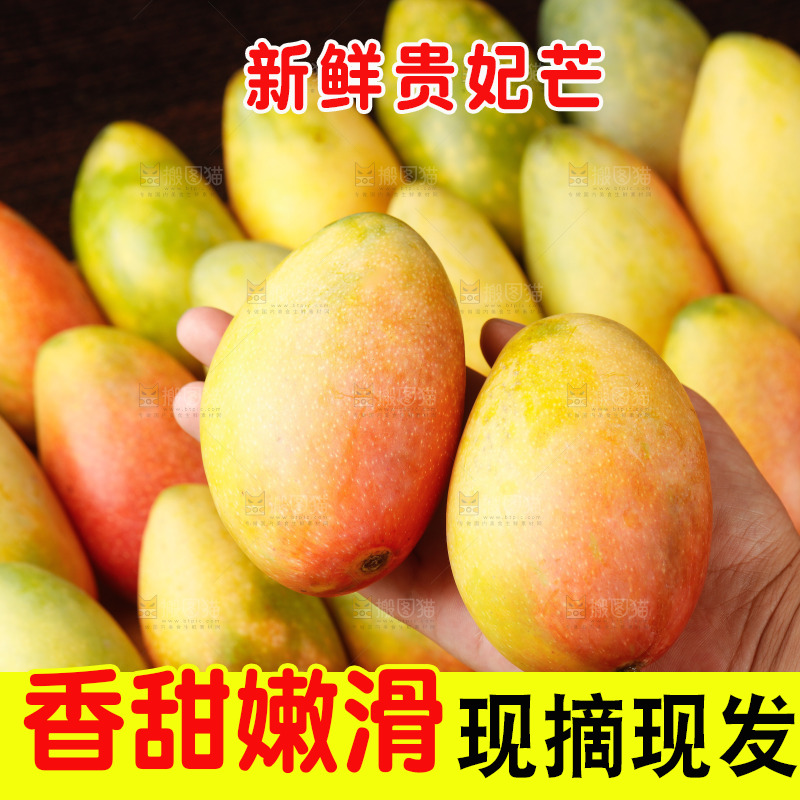 深底上的贵妃芒