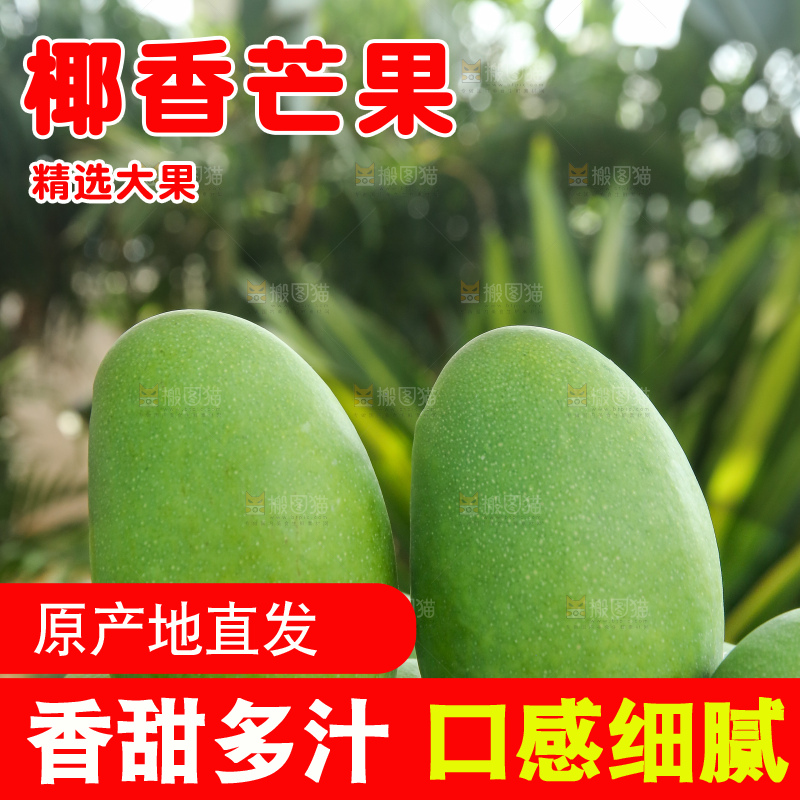 深底上的椰香芒