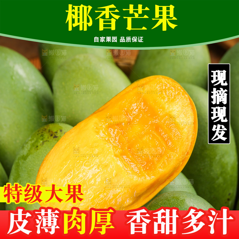 深底上的椰香芒