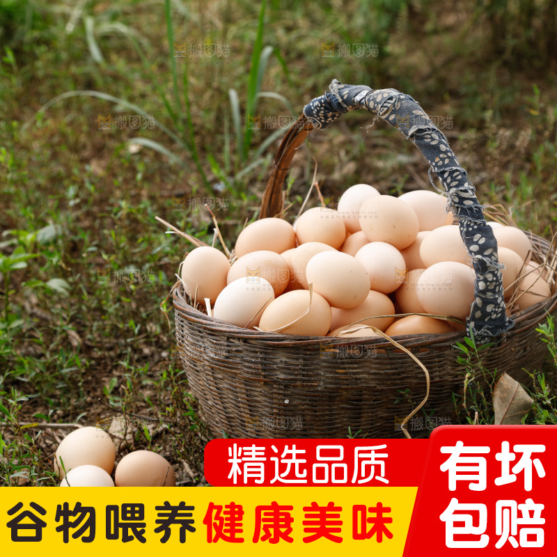地上放着新鲜土鸡蛋