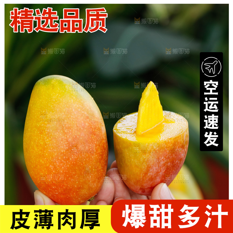 手里拿着贵妃芒
