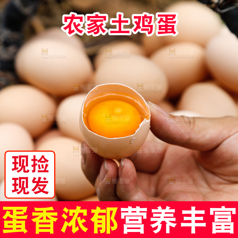 地上放着新鲜土鸡蛋