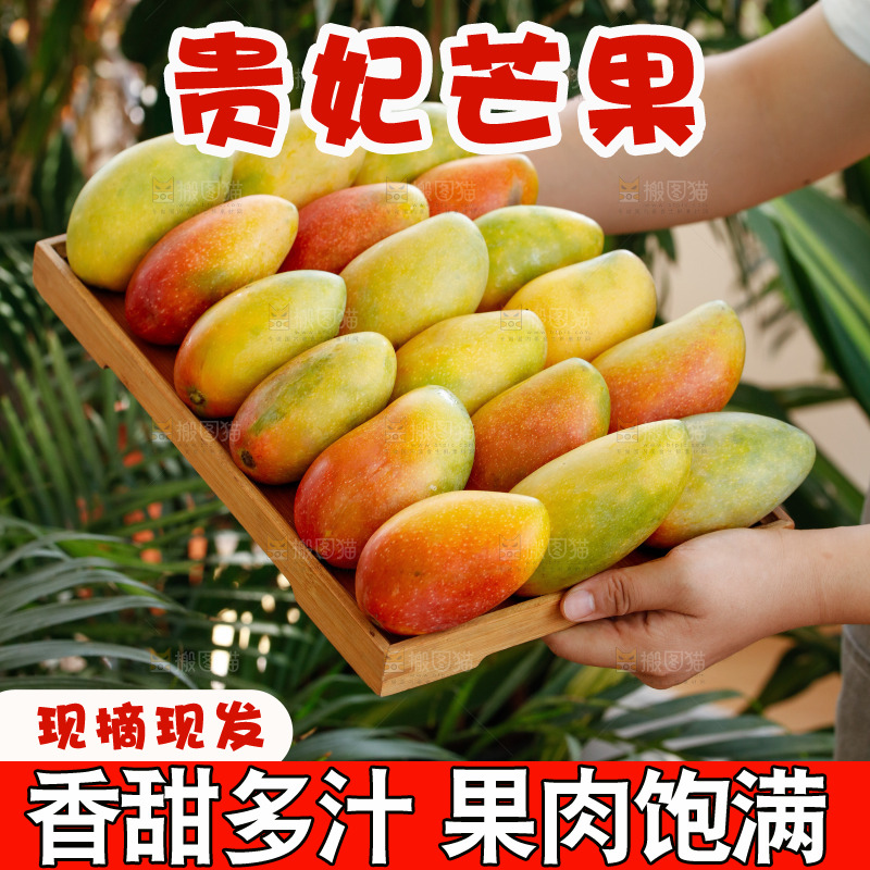 深底上的贵妃芒