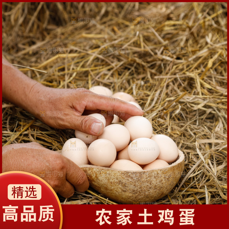 地上放着新鲜土鸡蛋