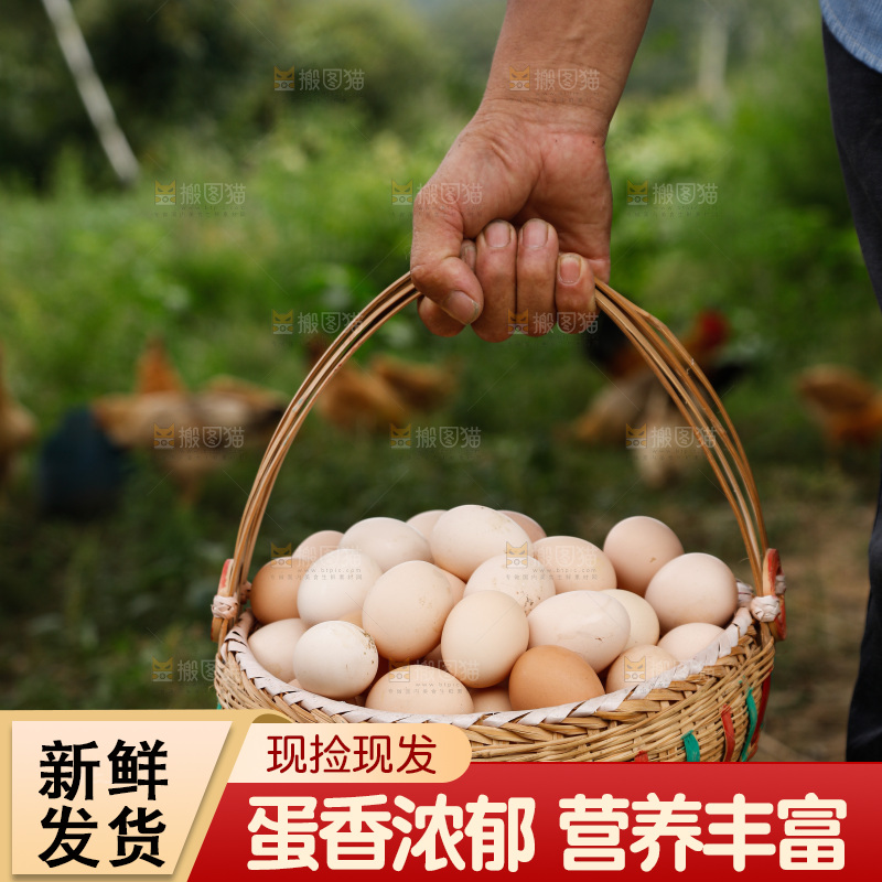手里拿着土鸡蛋