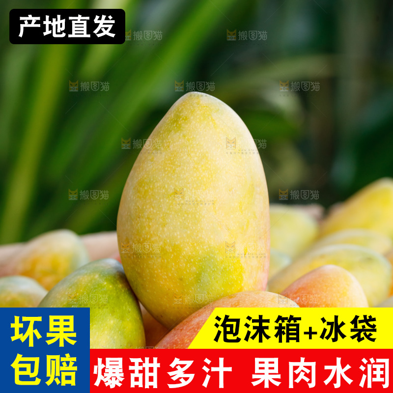 手里拿着贵妃芒
