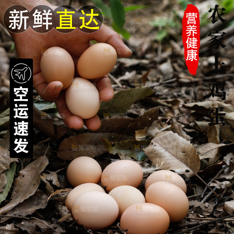 手里拿着土鸡蛋