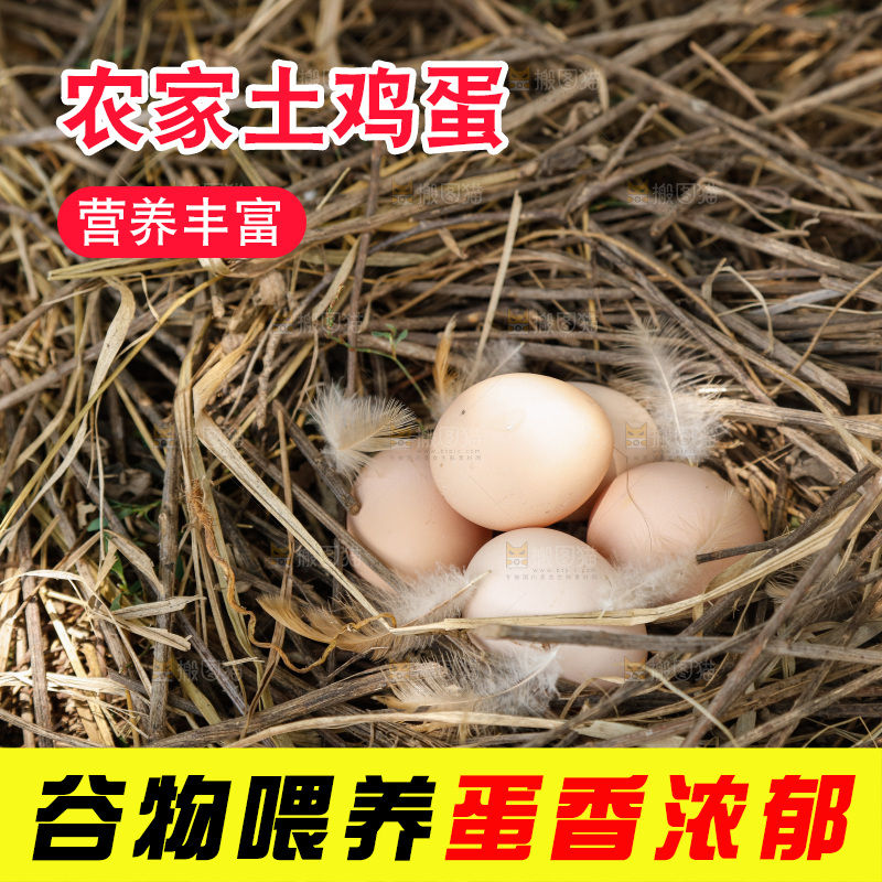 地上放着新鲜土鸡蛋