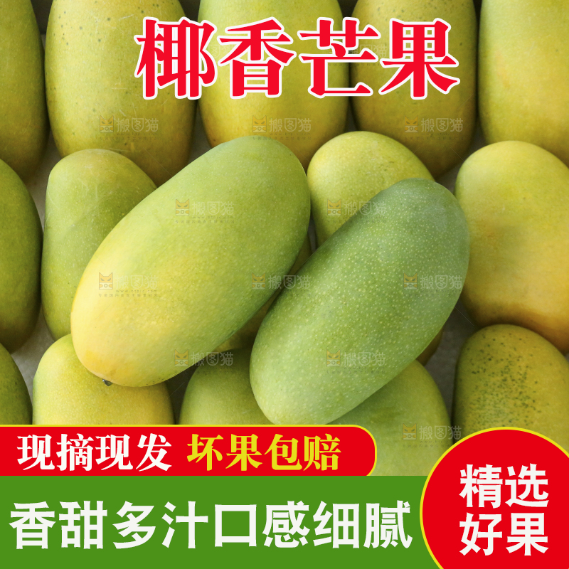 深底上的椰香芒